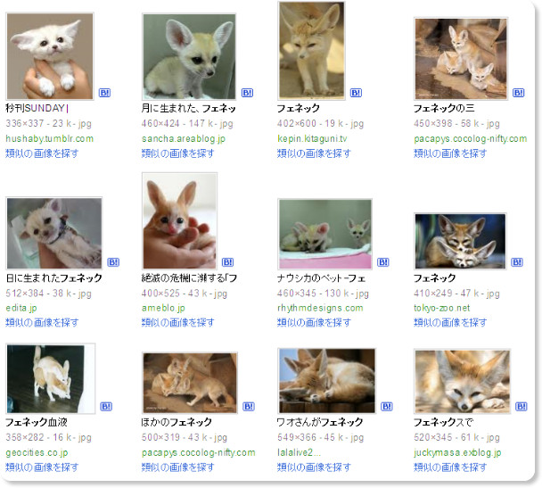 http://www.google.com/images?q=%E3%83%95%E3%82%A7%E3%83%8D%E3%83%83%E3%82%AF&um=1&ie=UTF-8&source=univ&ei=F3gATPDWJM2Gcen7nfgJ&sa=X&oi=image_result_group&ct=title&resnum=1&ved=0CDQQsAQwAA#q=%E3%83%95%E3%82%A7%E3%83%8D%E3%83%83%E3%82%AF&um=1&hl=ja&tbs=isch:1,itp:photo&source=lnt&ei=gngATKz4DNPccOHfwI8K&sa=X&oi=tool&resnum=0&ct=tlink